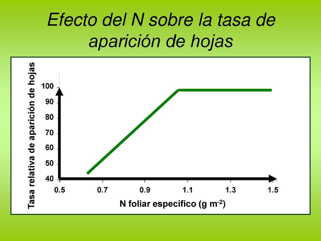 Efecto del N sobre la tasa de aparición de hojas