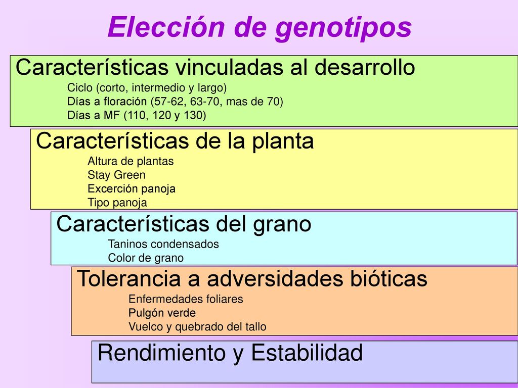 Elección de genotipos Características vinculadas al desarrollo