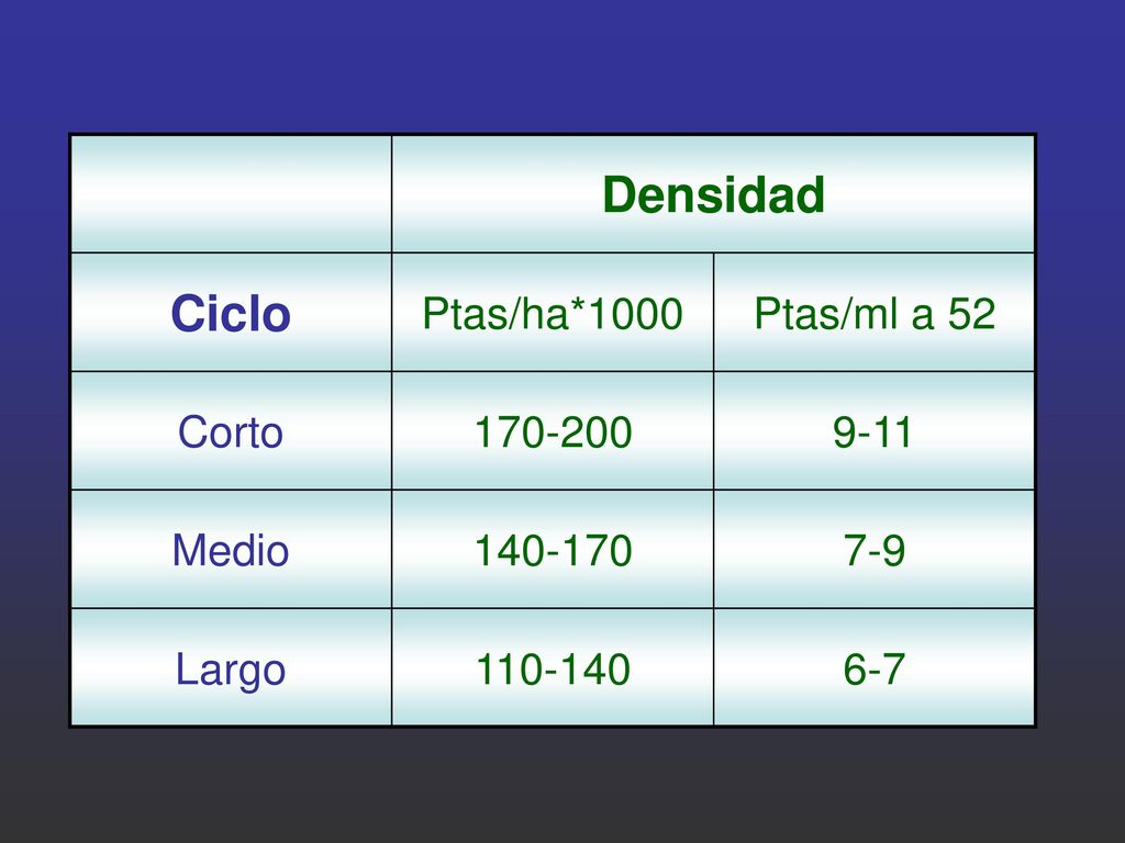 Densidad Ciclo Ptas/ha*1000 Ptas/ml a 52 Corto Medio