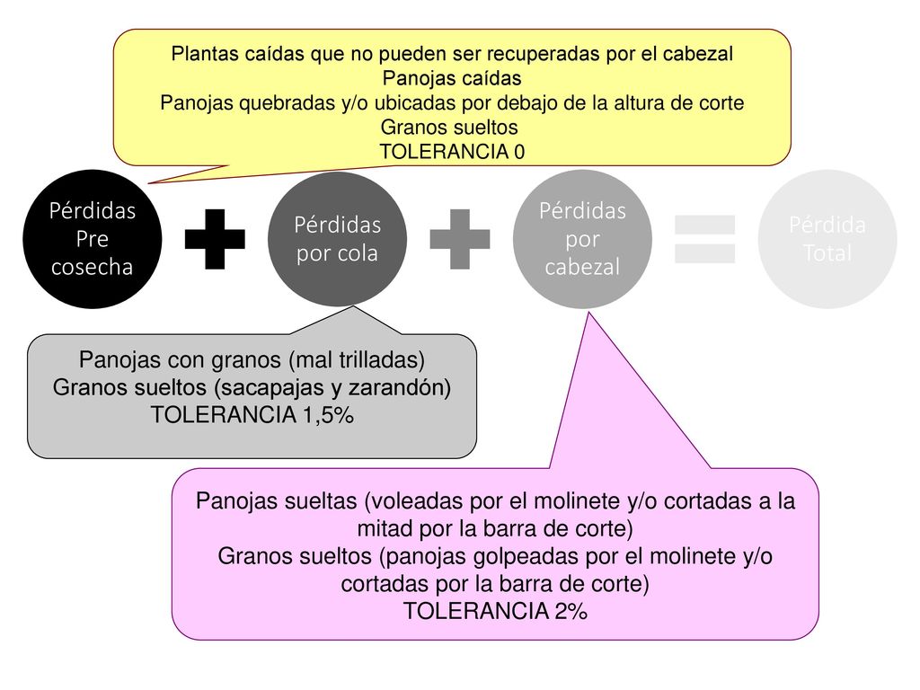 Pérdidas Pre cosecha Pérdidas por cola Pérdidas por cabezal