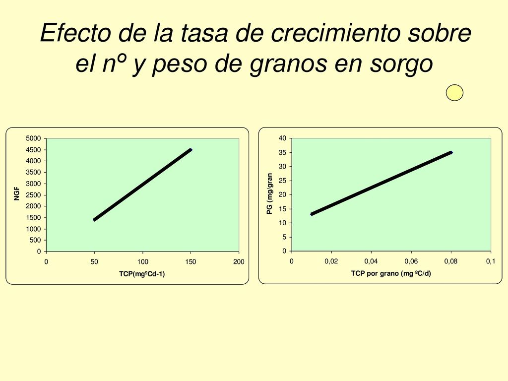 Efecto de la tasa de crecimiento sobre el nº y peso de granos en sorgo