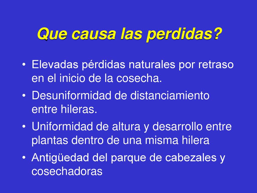 Que causa las perdidas Elevadas pérdidas naturales por retraso en el inicio de la cosecha. Desuniformidad de distanciamiento entre hileras.