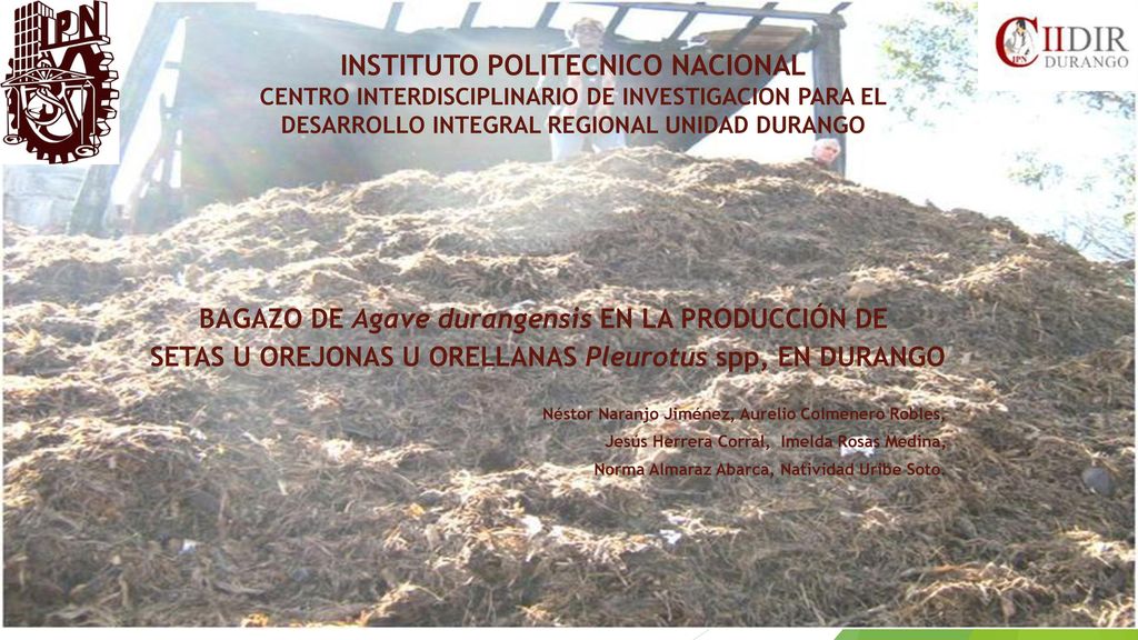 INSTITUTO POLITECNICO NACIONAL CENTRO INTERDISCIPLINARIO DE INVESTIGACION PARA EL DESARROLLO INTEGRAL REGIONAL UNIDAD DURANGO