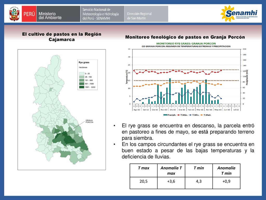 El cultivo de pastos en la Región Cajamarca