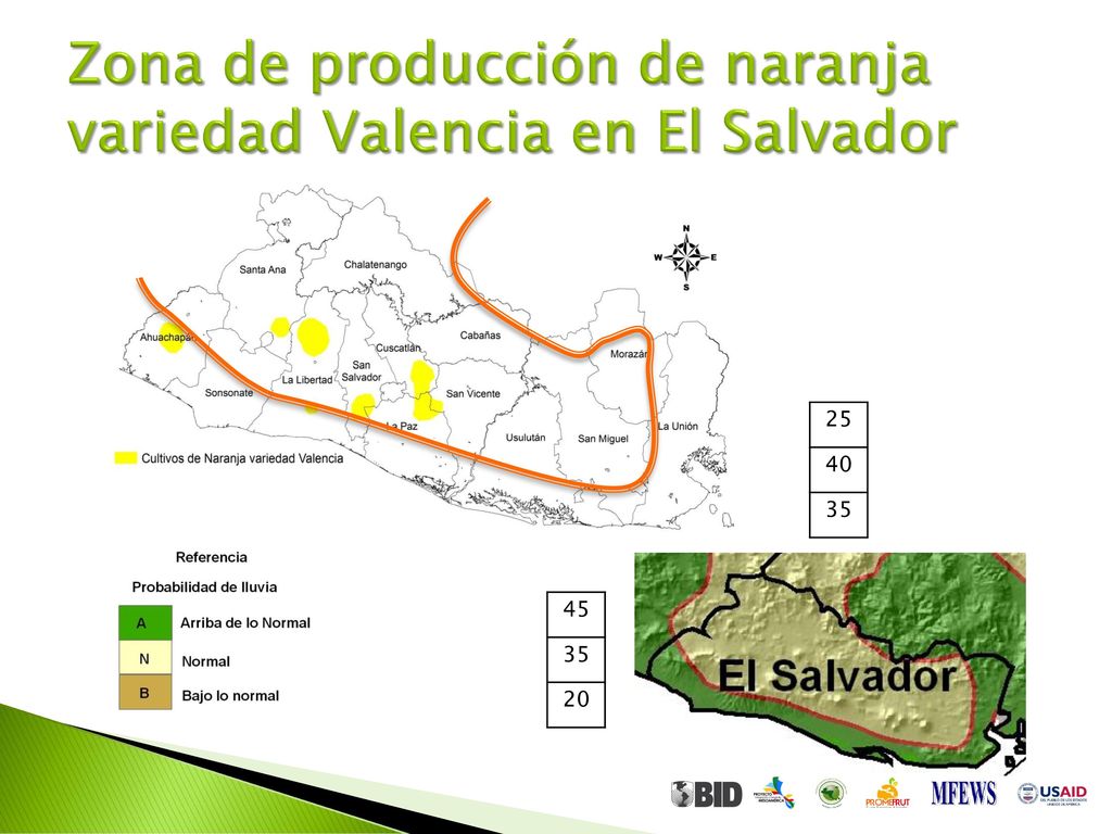 Zona de producción de naranja variedad Valencia en El Salvador