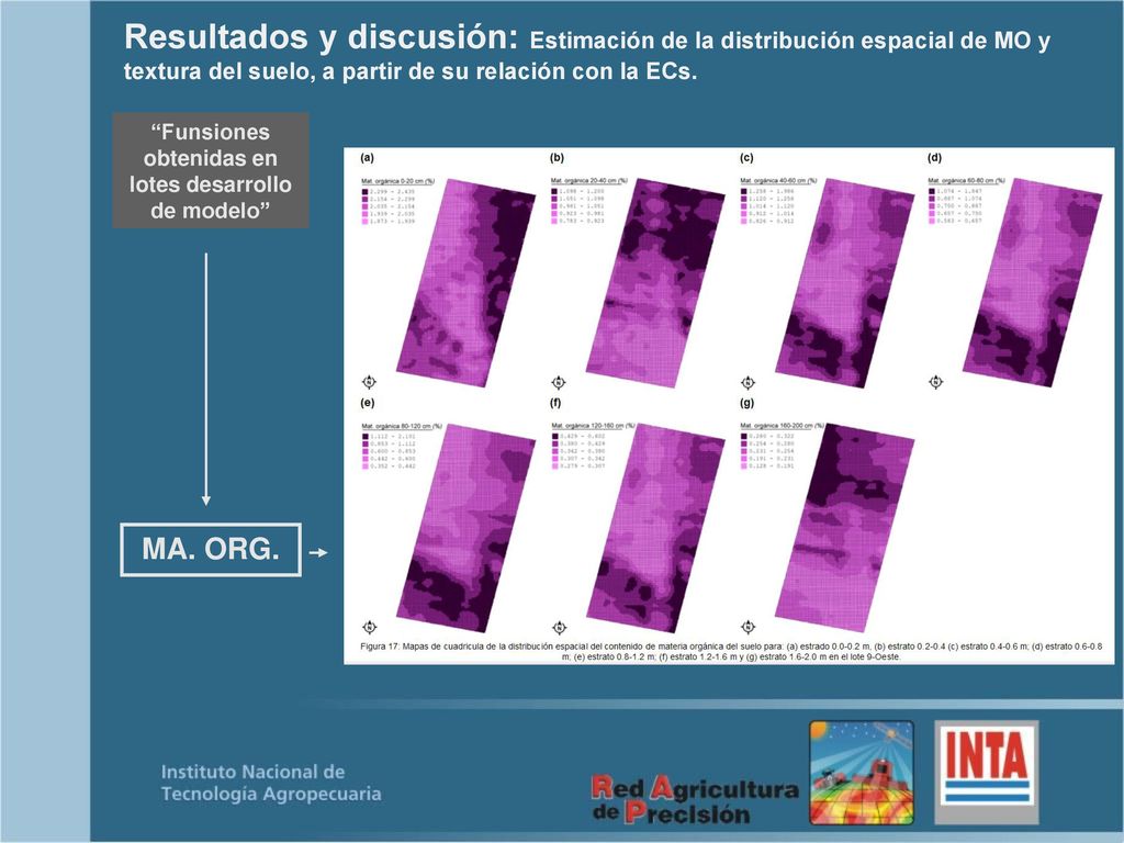 Resultados y discusión: Estimación de la distribución espacial de MO y