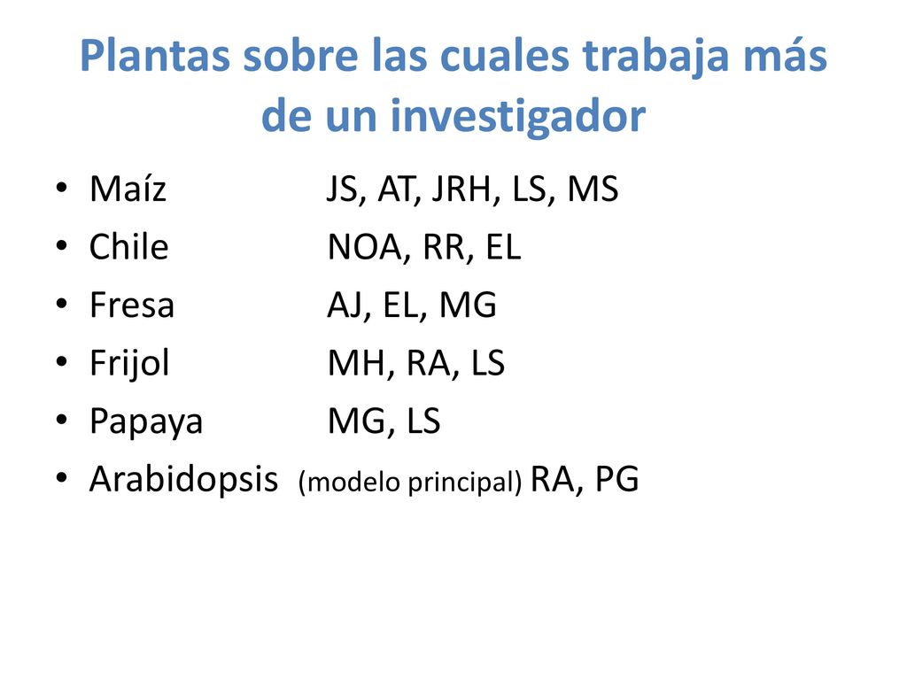 Plantas sobre las cuales trabaja más de un investigador
