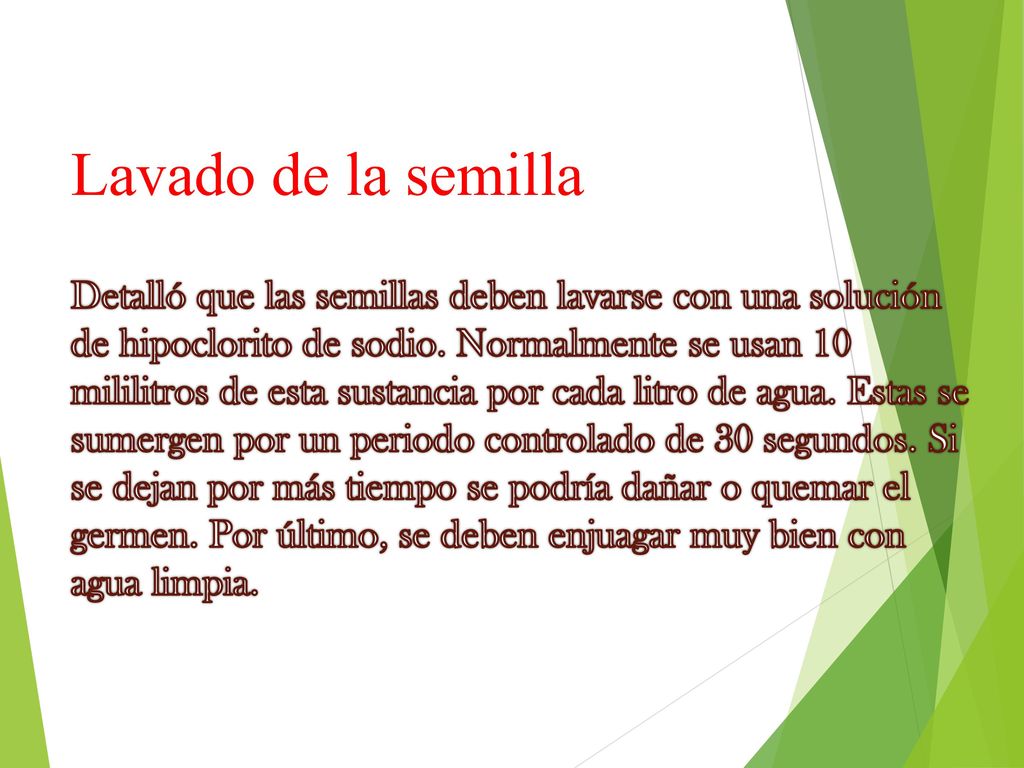 Lavado de la semilla Detalló que las semillas deben lavarse con una solución de hipoclorito de sodio.