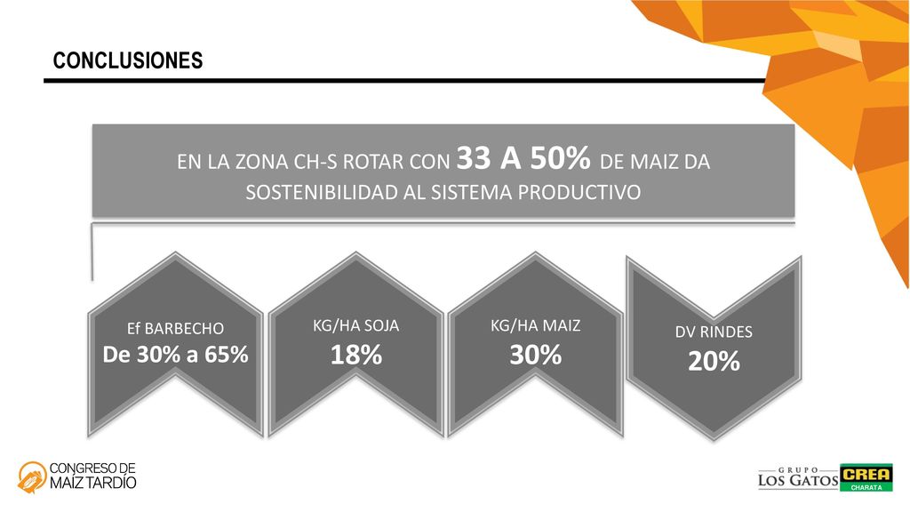 EN LA ZONA CH-S ROTAR CON 33 A 50% DE MAIZ DA SOSTENIBILIDAD AL SISTEMA PRODUCTIVO