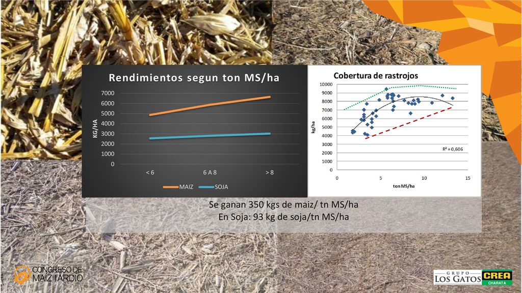 Se ganan 350 kgs de maiz/ tn MS/ha En Soja: 93 kg de soja/tn MS/ha