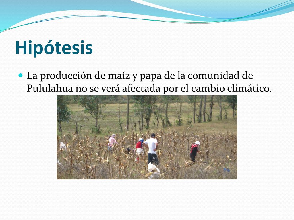 Hipótesis La producción de maíz y papa de la comunidad de Pululahua no se verá afectada por el cambio climático.
