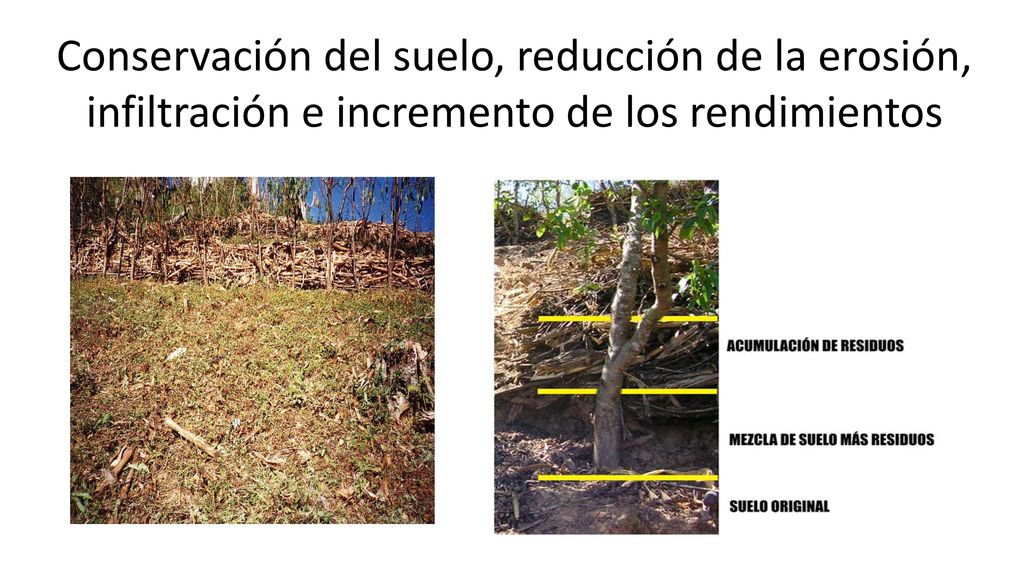 Conservación del suelo, reducción de la erosión, infiltración e incremento de los rendimientos