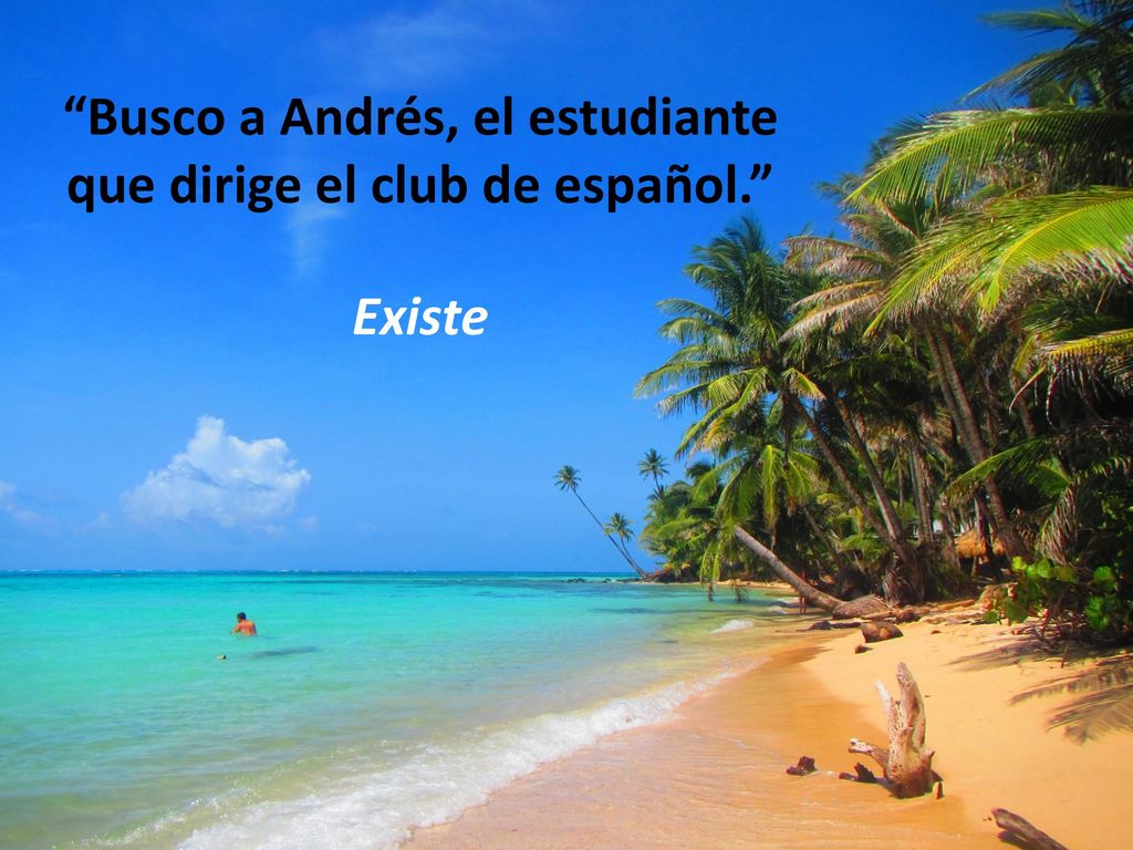 Busco a Andrés, el estudiante que dirige el club de español.