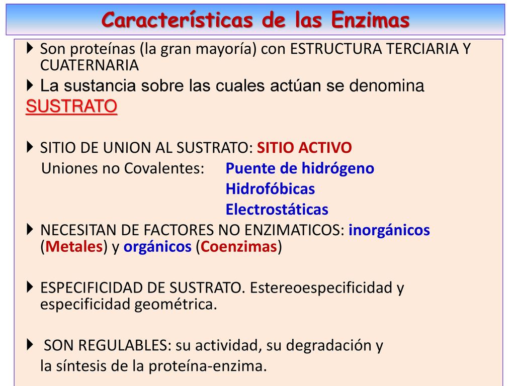 Las enzimas deben ser sintetizadas correctamente, con las estructuras proteicas: primaria, secundaria, terciaria y cuaternaria si la tuviera