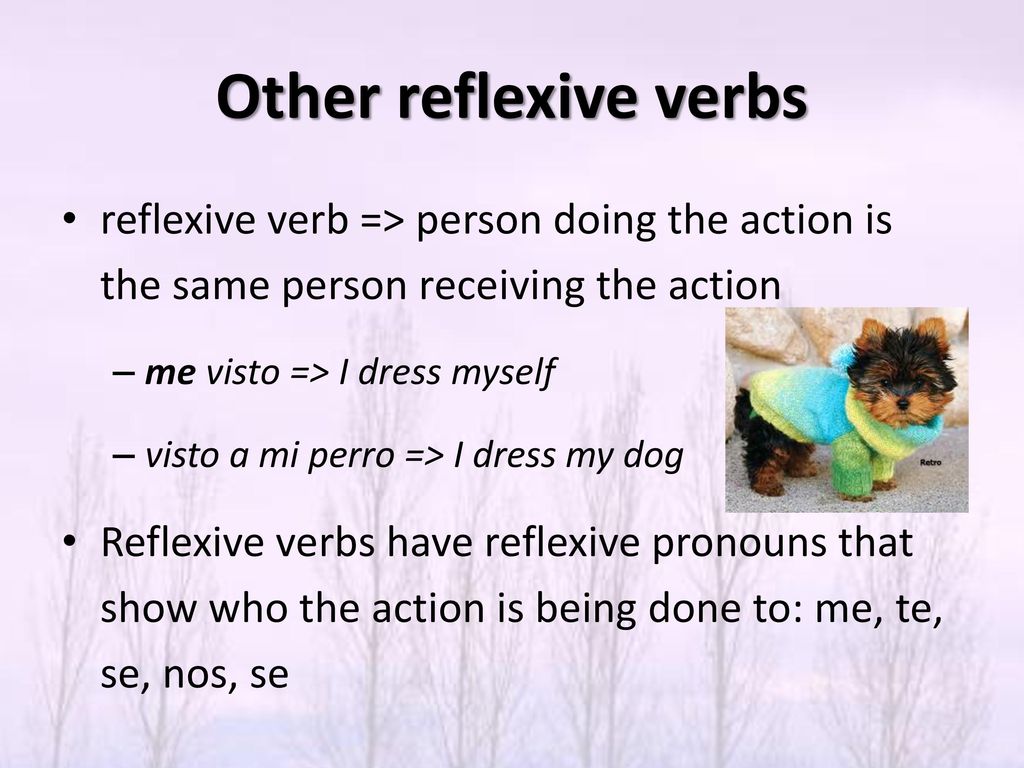 Other reflexive verbs reflexive verb => person doing the action is the same person receiving the action.