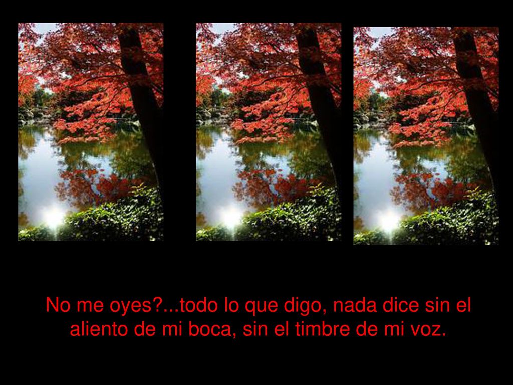No me oyes ...todo lo que digo, nada dice sin el aliento de mi boca, sin el timbre de mi voz.