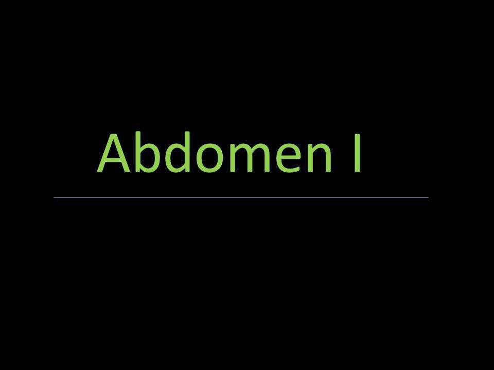 Abdomen I