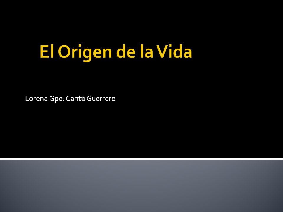 Lorena Gpe. Cantú Guerrero
