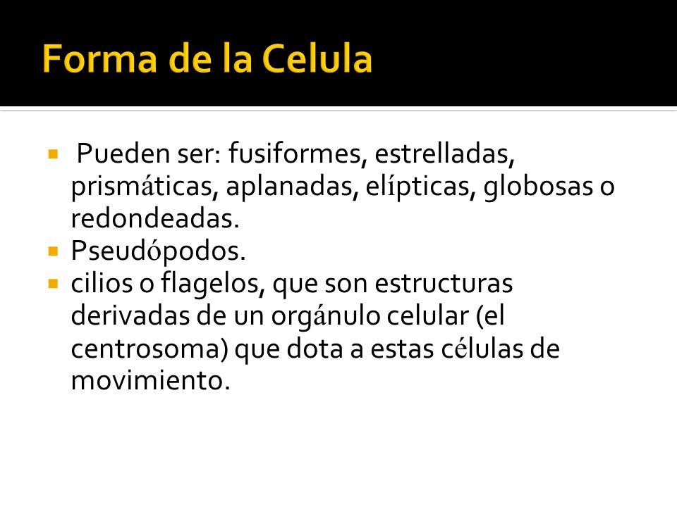 Forma de la Celula Pueden ser: fusiformes, estrelladas, prismáticas, aplanadas, elípticas, globosas o redondeadas.