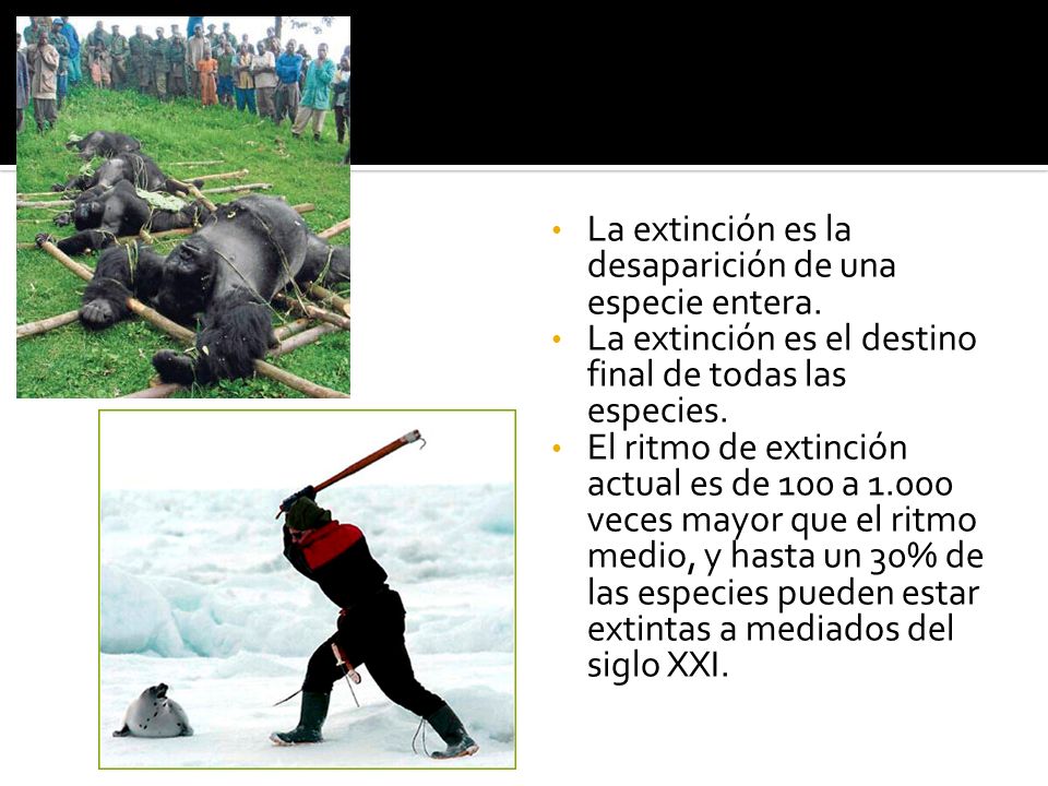 Extinción La extinción es la desaparición de una especie entera.
