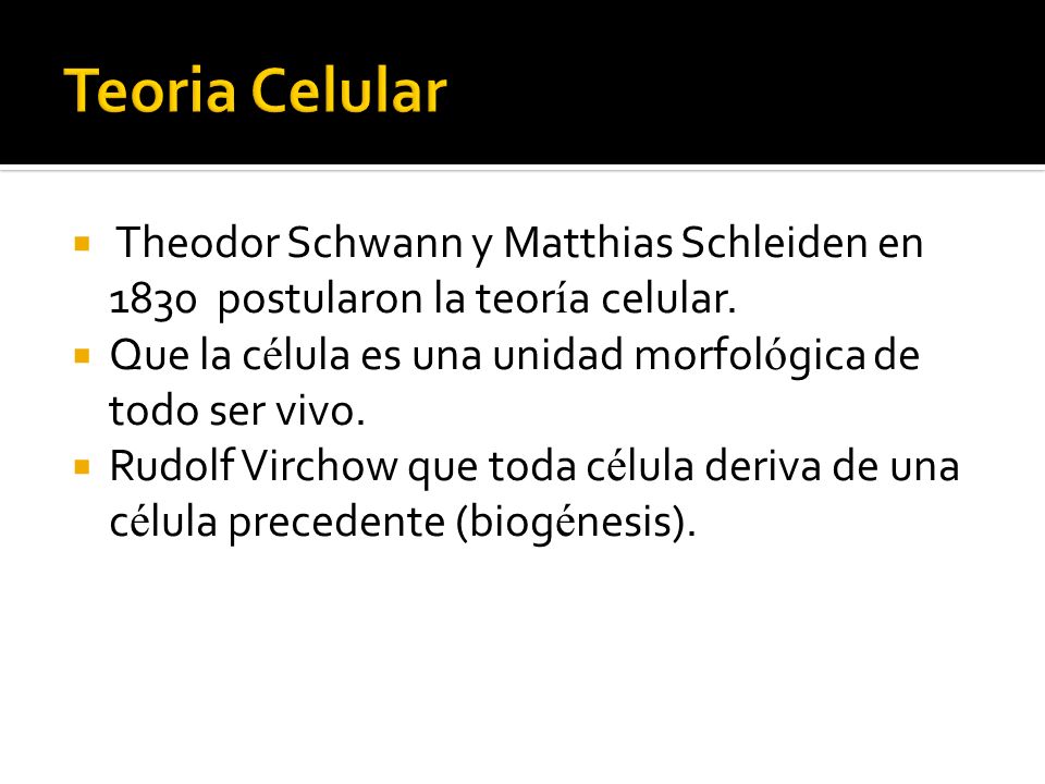 Teoria Celular Theodor Schwann y Matthias Schleiden en 1830 postularon la teoría celular. Que la célula es una unidad morfológica de todo ser vivo.