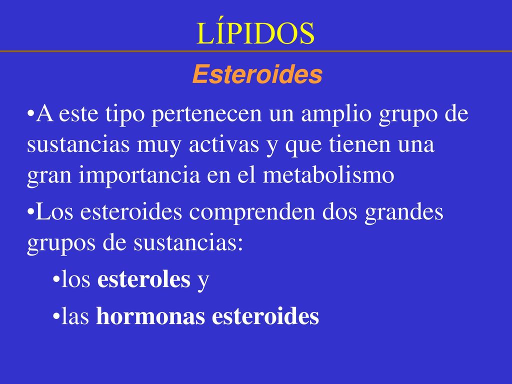 LÍPIDOS Esteroides. A este tipo pertenecen un amplio grupo de sustancias muy activas y que tienen una gran importancia en el metabolismo.