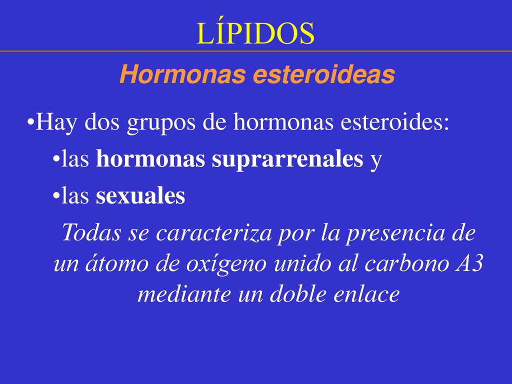 LÍPIDOS Hormonas esteroideas Hay dos grupos de hormonas esteroides: