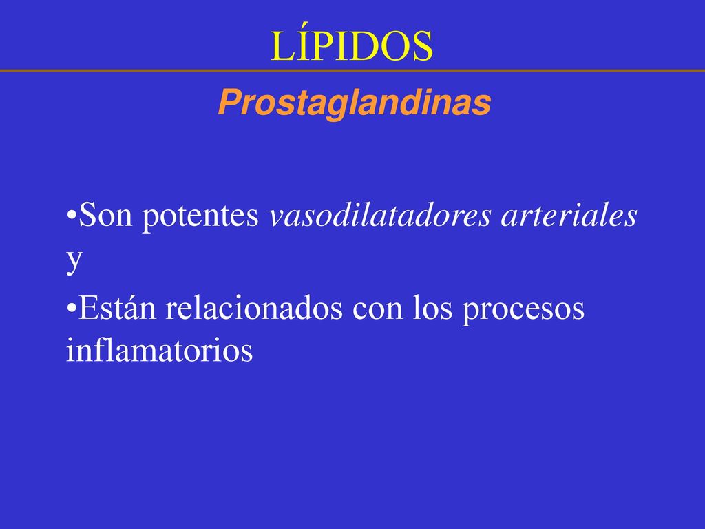 LÍPIDOS Prostaglandinas Son potentes vasodilatadores arteriales y