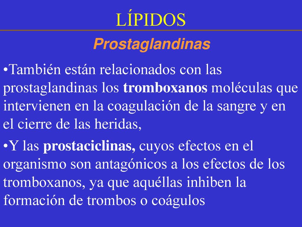 LÍPIDOS Prostaglandinas