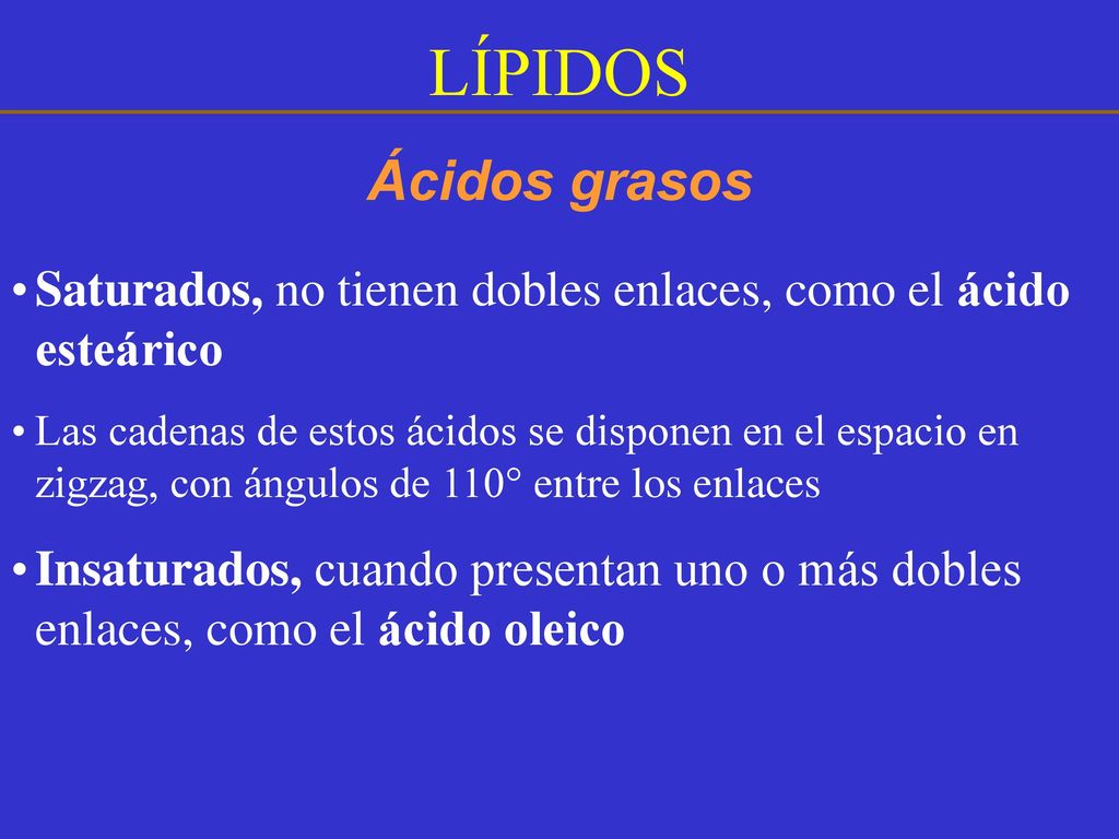 LÍPIDOS Ácidos grasos. Saturados, no tienen dobles enlaces, como el ácido esteárico.