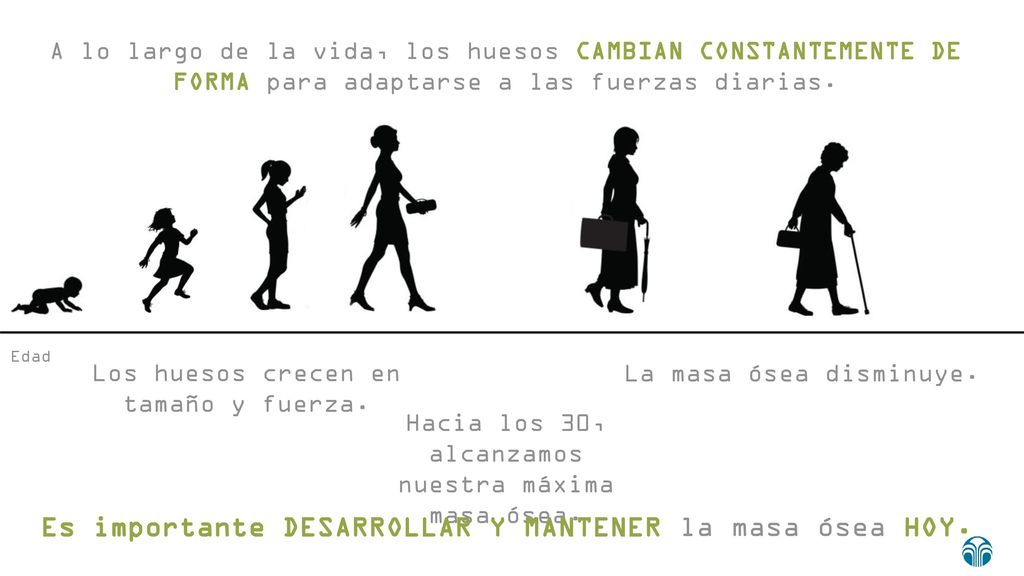 Es importante DESARROLLAR Y MANTENER la masa ósea HOY.