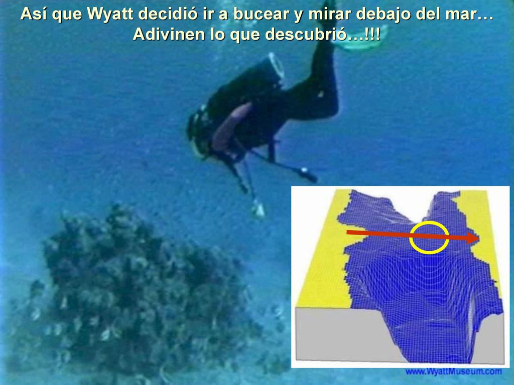 Así que Wyatt decidió ir a bucear y mirar debajo del mar… Adivinen lo que descubrió…!!!
