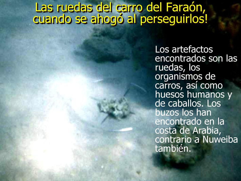 Las ruedas del carro del Faraón, cuando se ahogó al perseguirlos!
