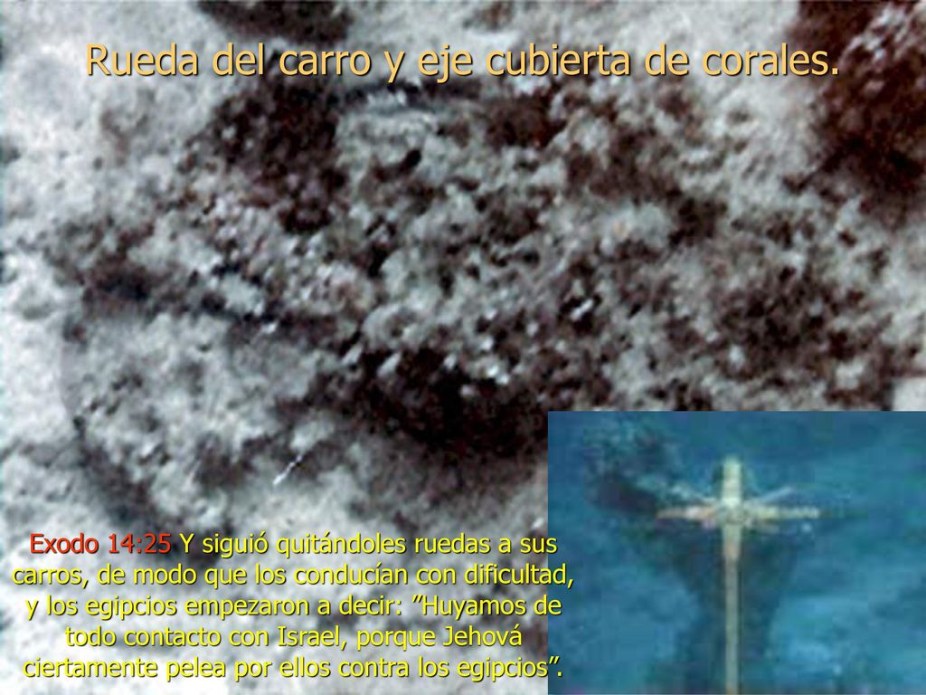 Rueda del carro y eje cubierta de corales.