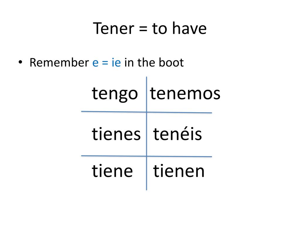 tengo tenemos tienes tenéis tiene tienen Tener = to have