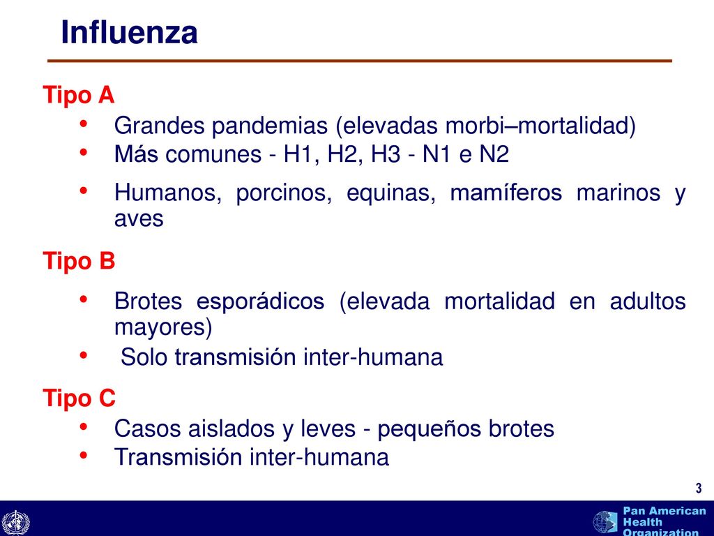 Influenza Tipo A Grandes pandemias (elevadas morbi–mortalidad)