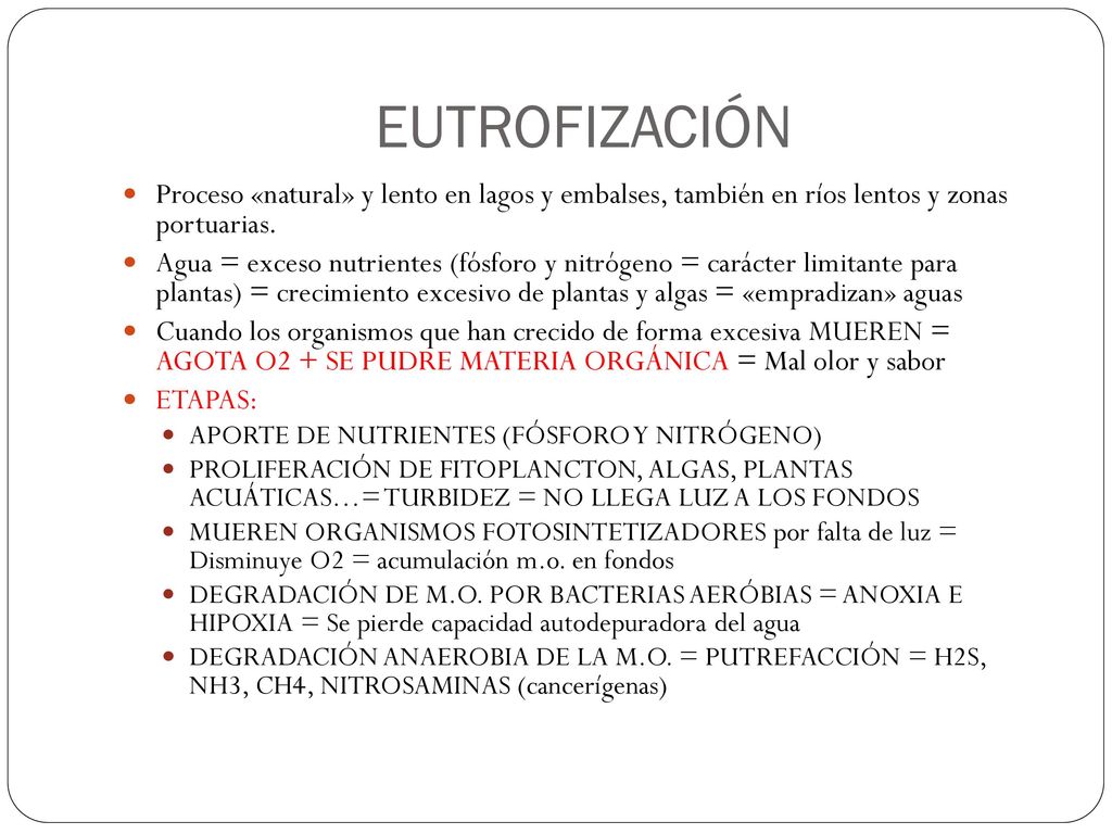 EUTROFIZACIÓN Proceso «natural» y lento en lagos y embalses, también en ríos lentos y zonas portuarias.