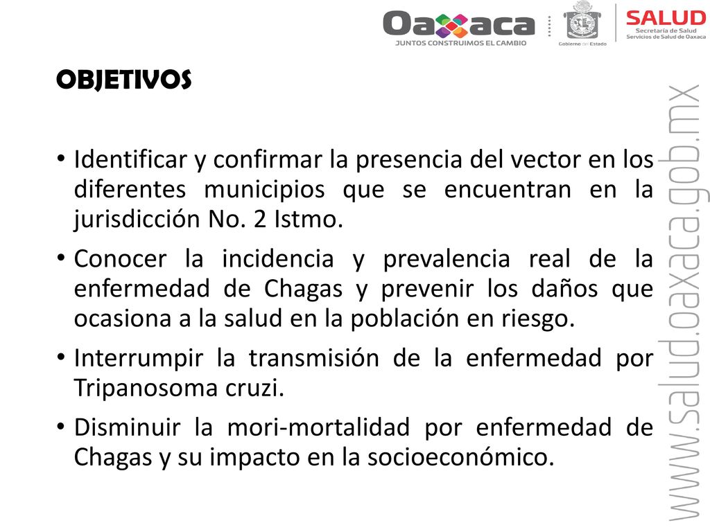 OBJETIVOS Identificar y confirmar la presencia del vector en los diferentes municipios que se encuentran en la jurisdicción No. 2 Istmo.