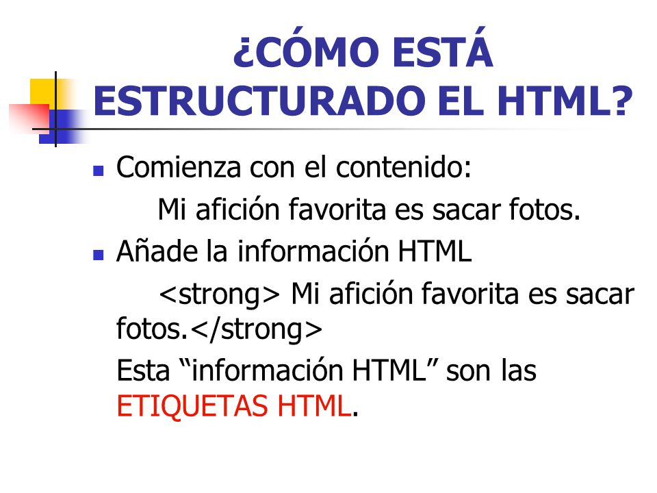 ¿CÓMO ESTÁ ESTRUCTURADO EL HTML