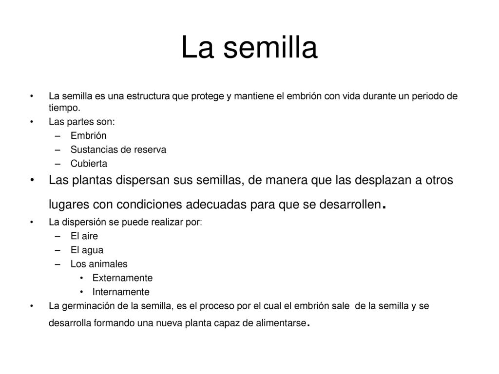 La semilla La semilla es una estructura que protege y mantiene el embrión con vida durante un periodo de tiempo.