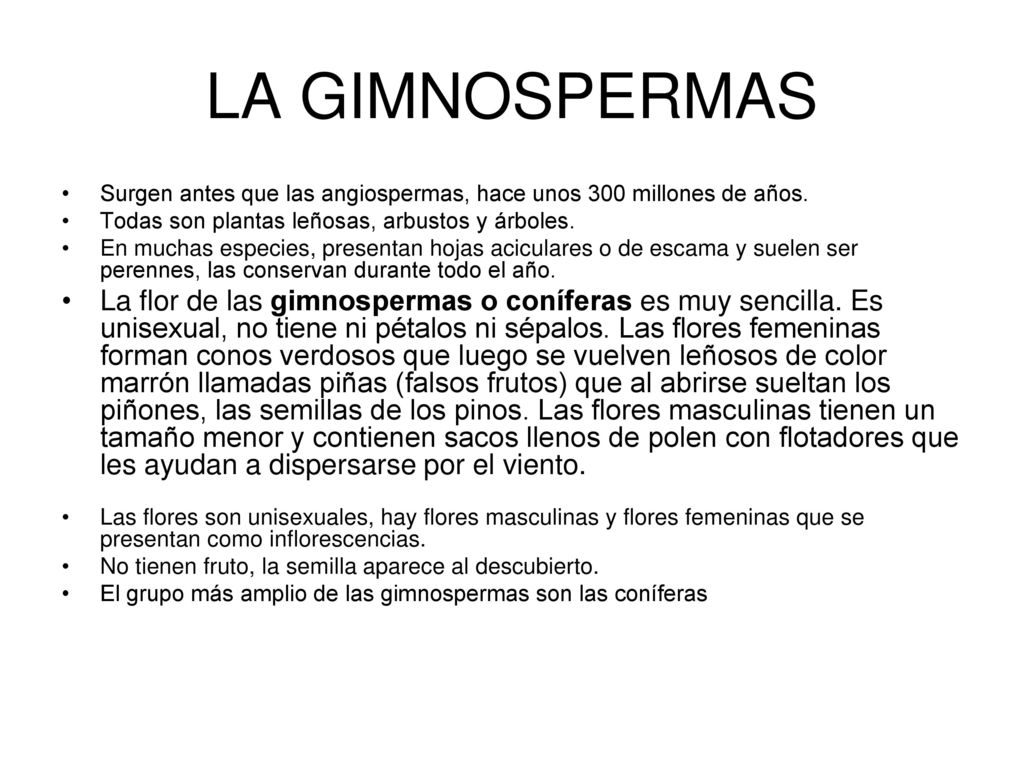 LA GIMNOSPERMAS Surgen antes que las angiospermas, hace unos 300 millones de años. Todas son plantas leñosas, arbustos y árboles.