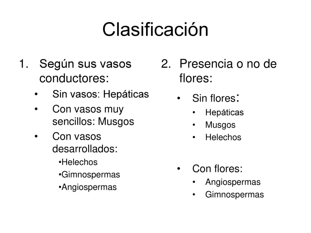 Clasificación Según sus vasos conductores: Presencia o no de flores: