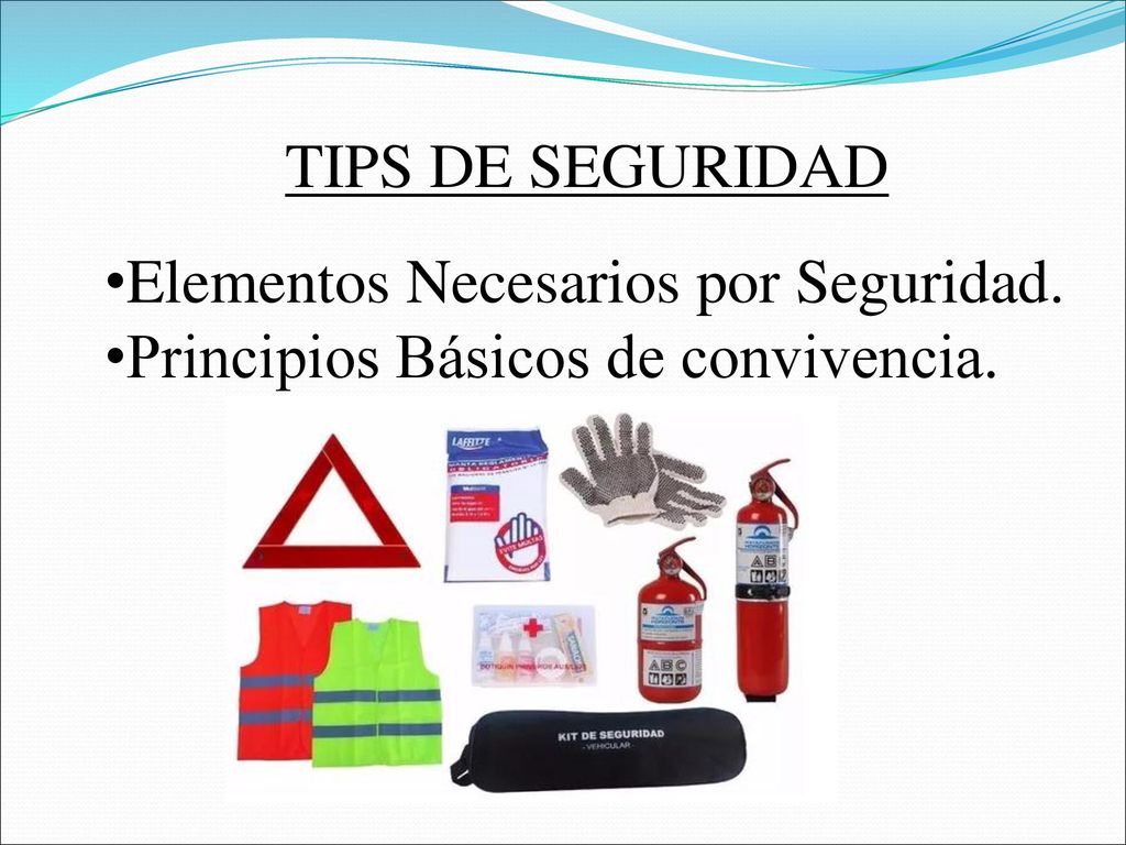 TIPS DE SEGURIDAD Elementos Necesarios por Seguridad. Principios Básicos de convivencia.