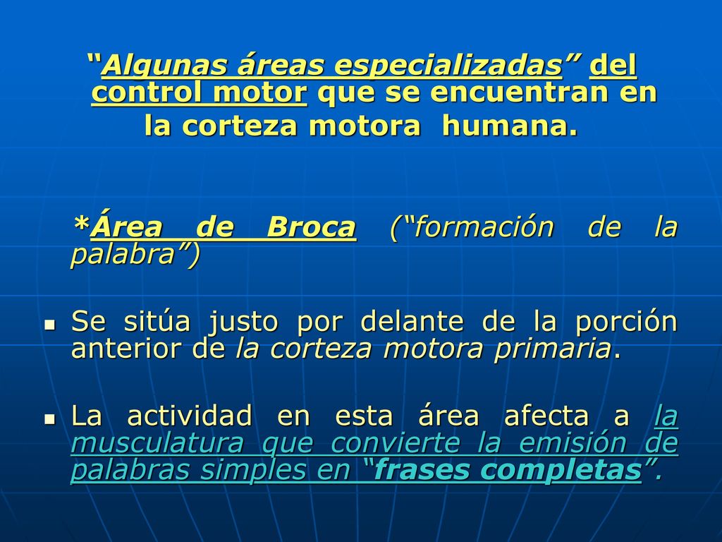 Algunas áreas especializadas del control motor que se encuentran en
