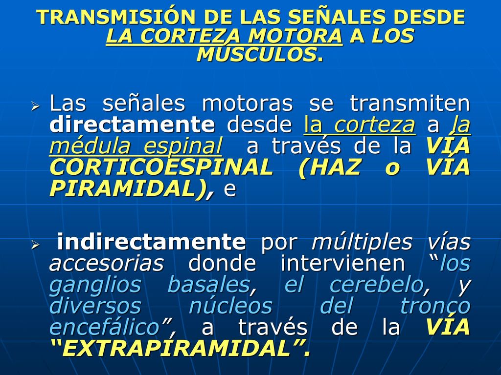 TRANSMISIÓN DE LAS SEÑALES DESDE LA CORTEZA MOTORA A LOS MÚSCULOS.