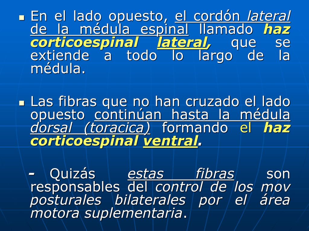 En el lado opuesto, el cordón lateral de la médula espinal llamado haz corticoespinal lateral, que se extiende a todo lo largo de la médula.