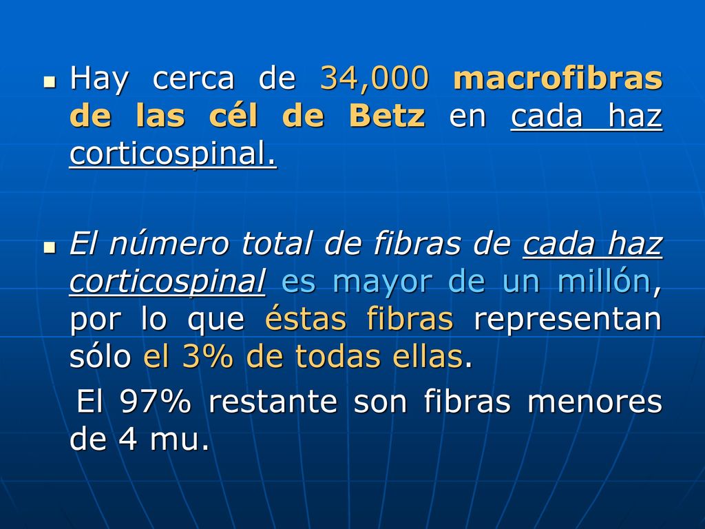 Hay cerca de 34,000 macrofibras de las cél de Betz en cada haz corticospinal.