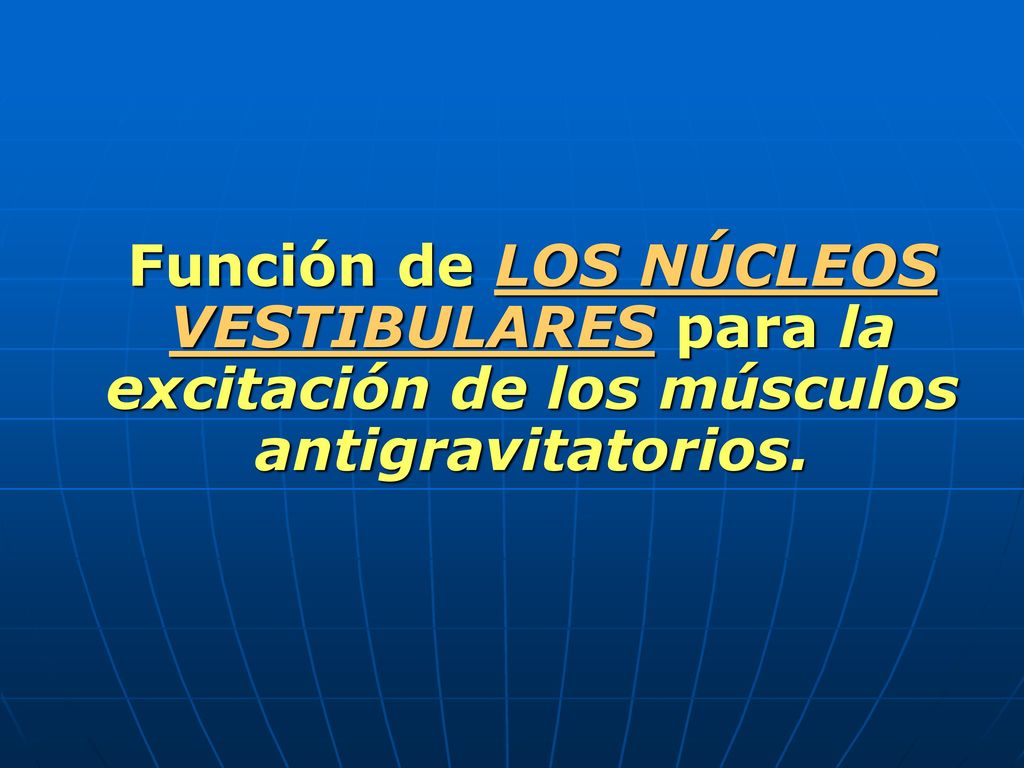 Función de LOS NÚCLEOS VESTIBULARES para la excitación de los músculos antigravitatorios.