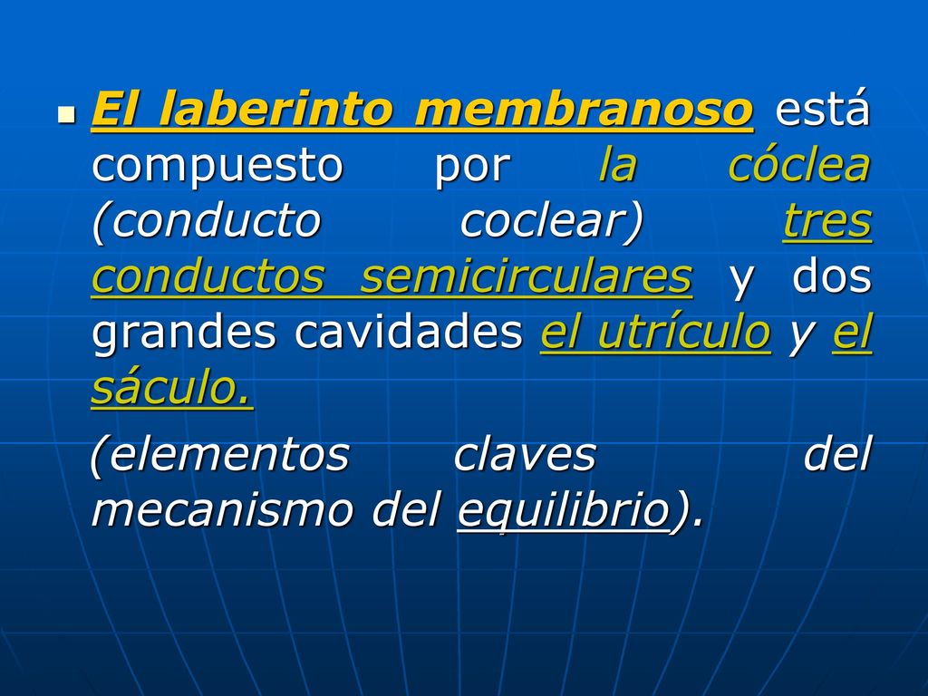El laberinto membranoso está compuesto por la cóclea (conducto coclear) tres conductos semicirculares y dos grandes cavidades el utrículo y el sáculo.