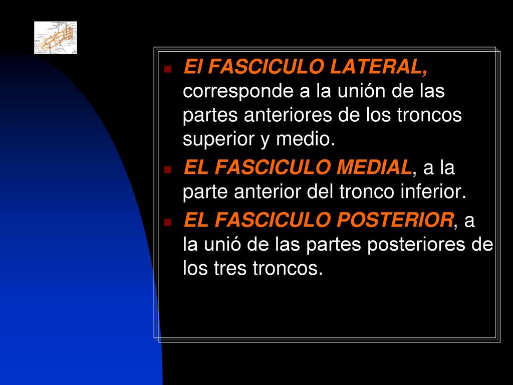 El FASCICULO LATERAL, corresponde a la unión de las partes anteriores de los troncos superior y medio.